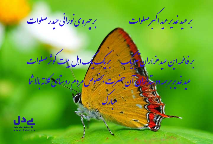 عید غدیر