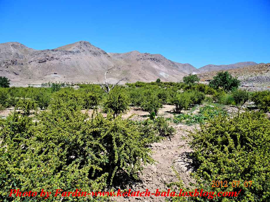 کشمون اخ روستای کلاته بالا