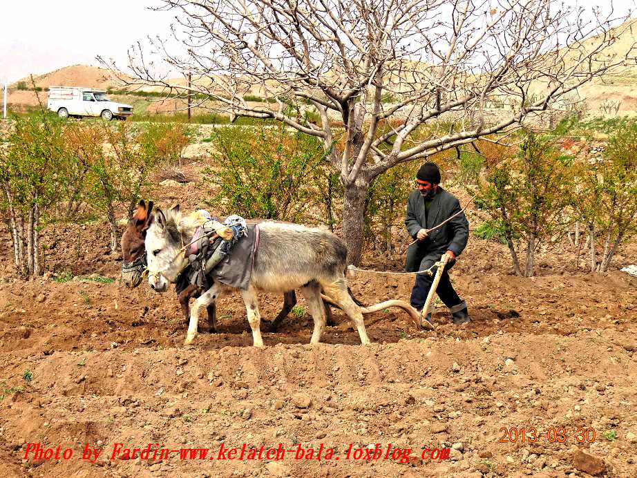 آساک سنگین مخصوص زمینهای آوه