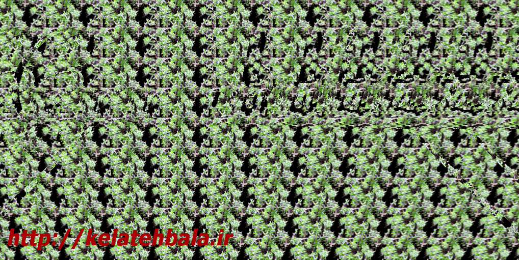 زیباترین عکس سه بعدی 3d picture